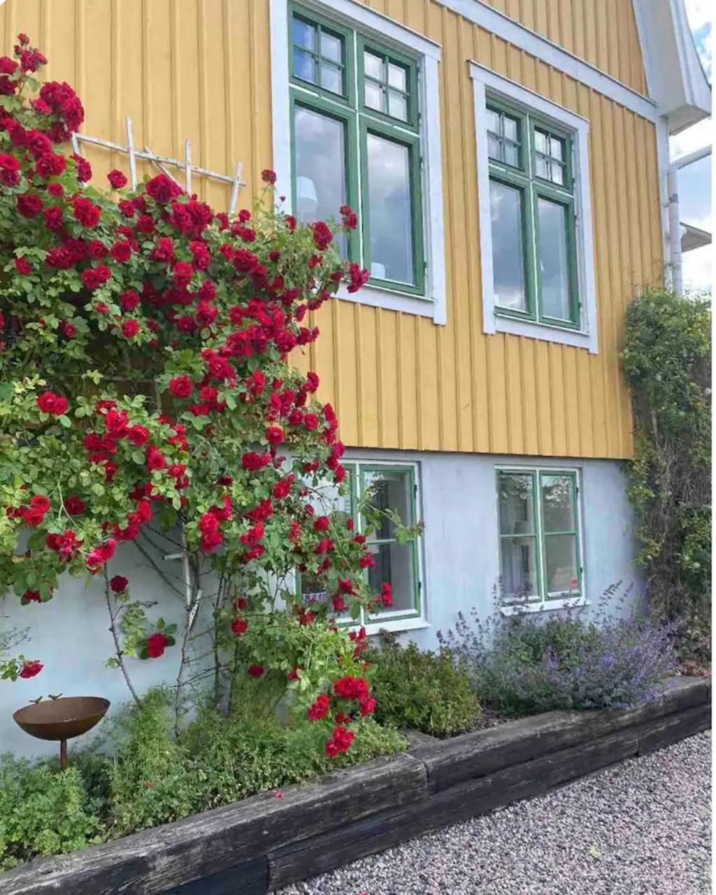 Villa Bjoerkliden B&B Tenhult Exteriér fotografie